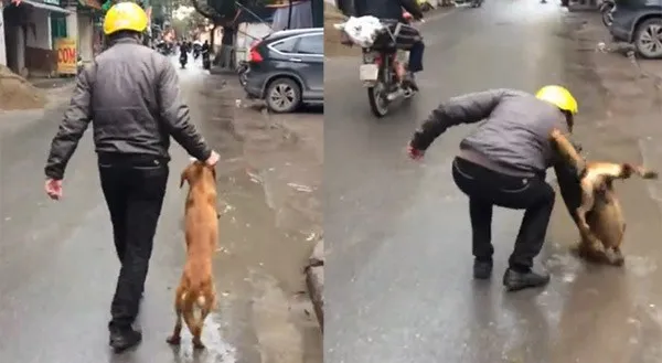 Từ ngày 20/4, đánh đập, hành hạ vật nuôi có thể bị phạt tới 3 triệu đồng