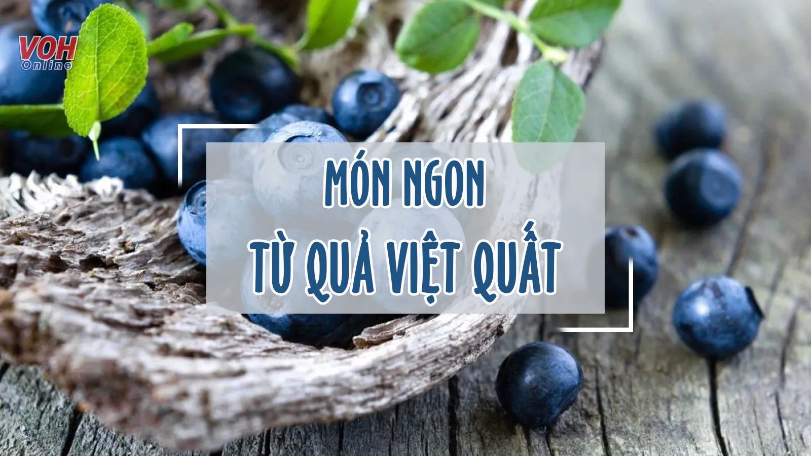 Muốn biết việt quất làm món gì ngon xem ngay 6 công thức này