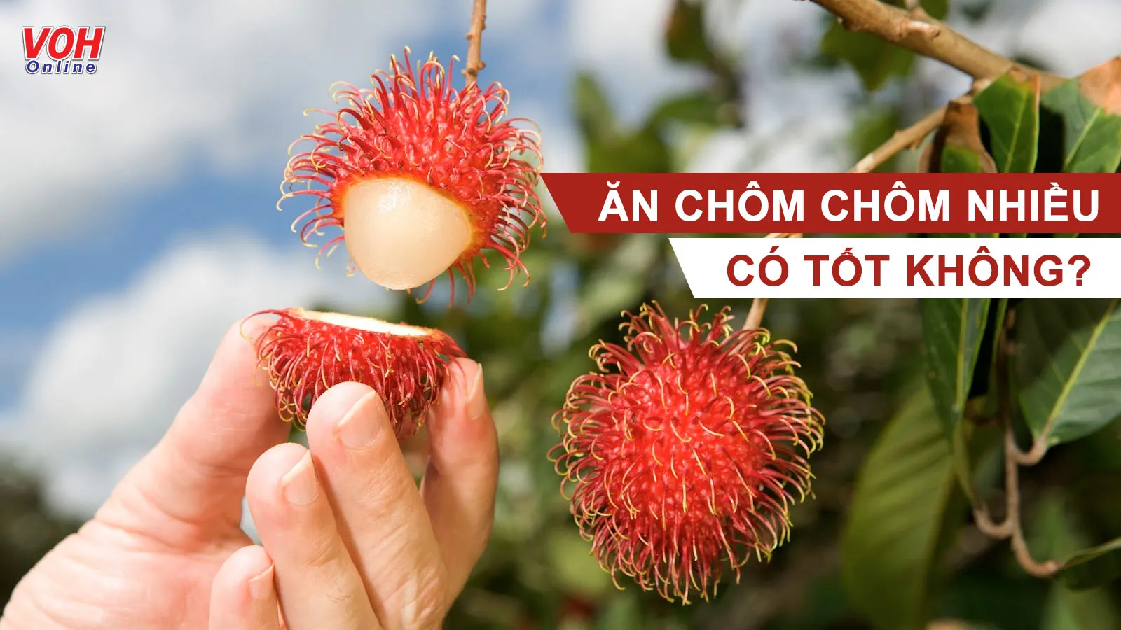 Tác hại của chôm chôm và 5 nhóm người không nên ăn