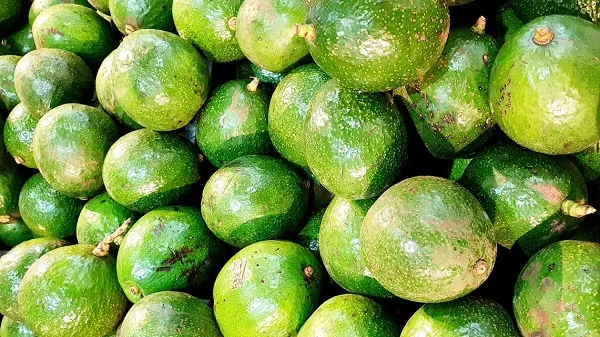 Giá cả thị trường hôm nay 4/5/2021: Bơ giá 30.000 đồng/kg