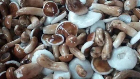 Giá cả thị trường hôm nay 5/5/2021: Nấm tràm vào mùa