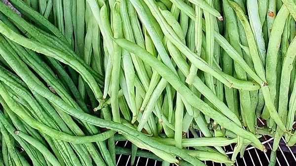 Giá cả thị trường hôm nay 8/5/2021: Đậu que 12.000 đồng/kg