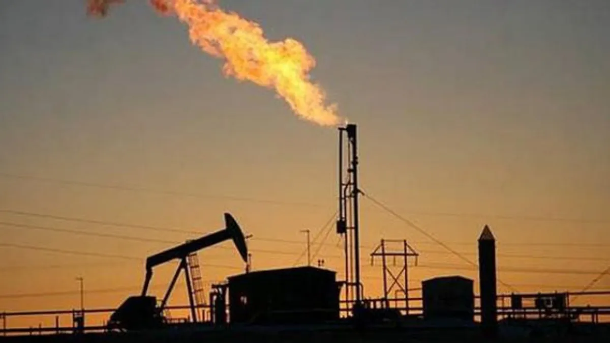 Giá gas hôm nay 12/5/2021: Giảm mạnh do ảnh hưởng thời tiết