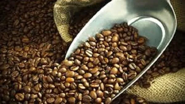 Giá cà phê ngày 14/5: Robusta rơi dưới mốc 1.500 USD/tấn