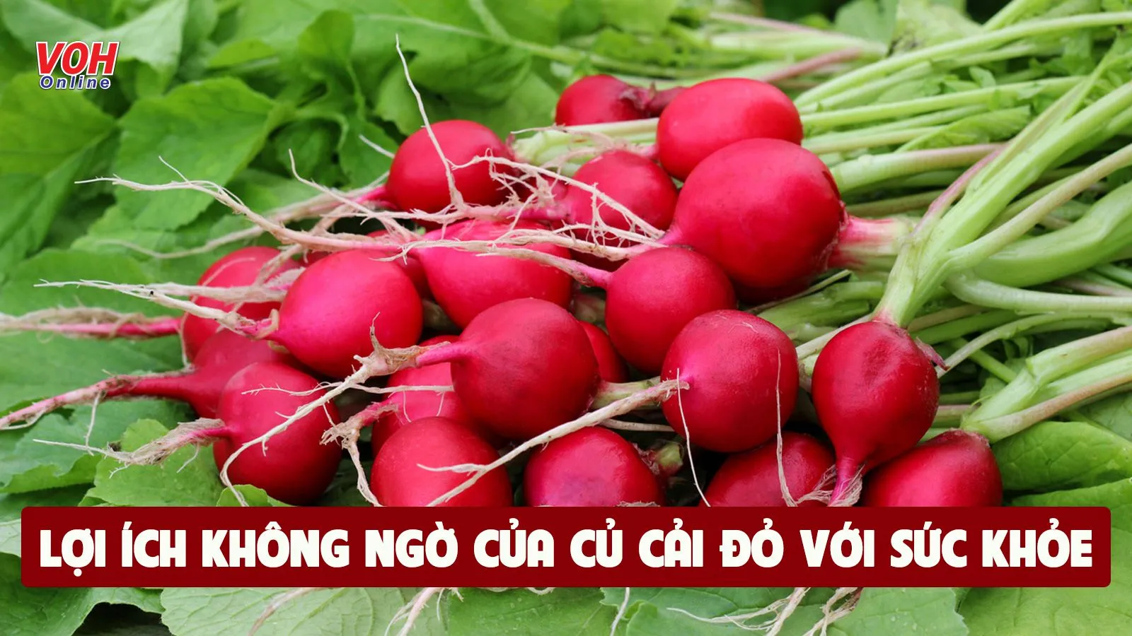 Củ cải đỏ: 9 lợi ích sức khỏe và lưu ý dùng an toàn, đúng cách