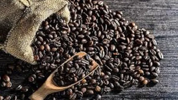 Giá cà phê ngày 28/5: Robusta tăng cao nhất 2 tuần qua, trong nước tăng 300 đồng/kg