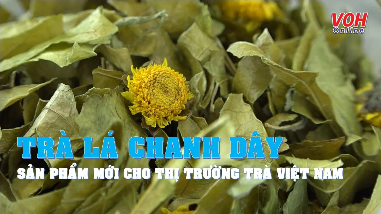 Trà lá chanh dây - sản phẩm mới trên thị trường trà Việt Nam