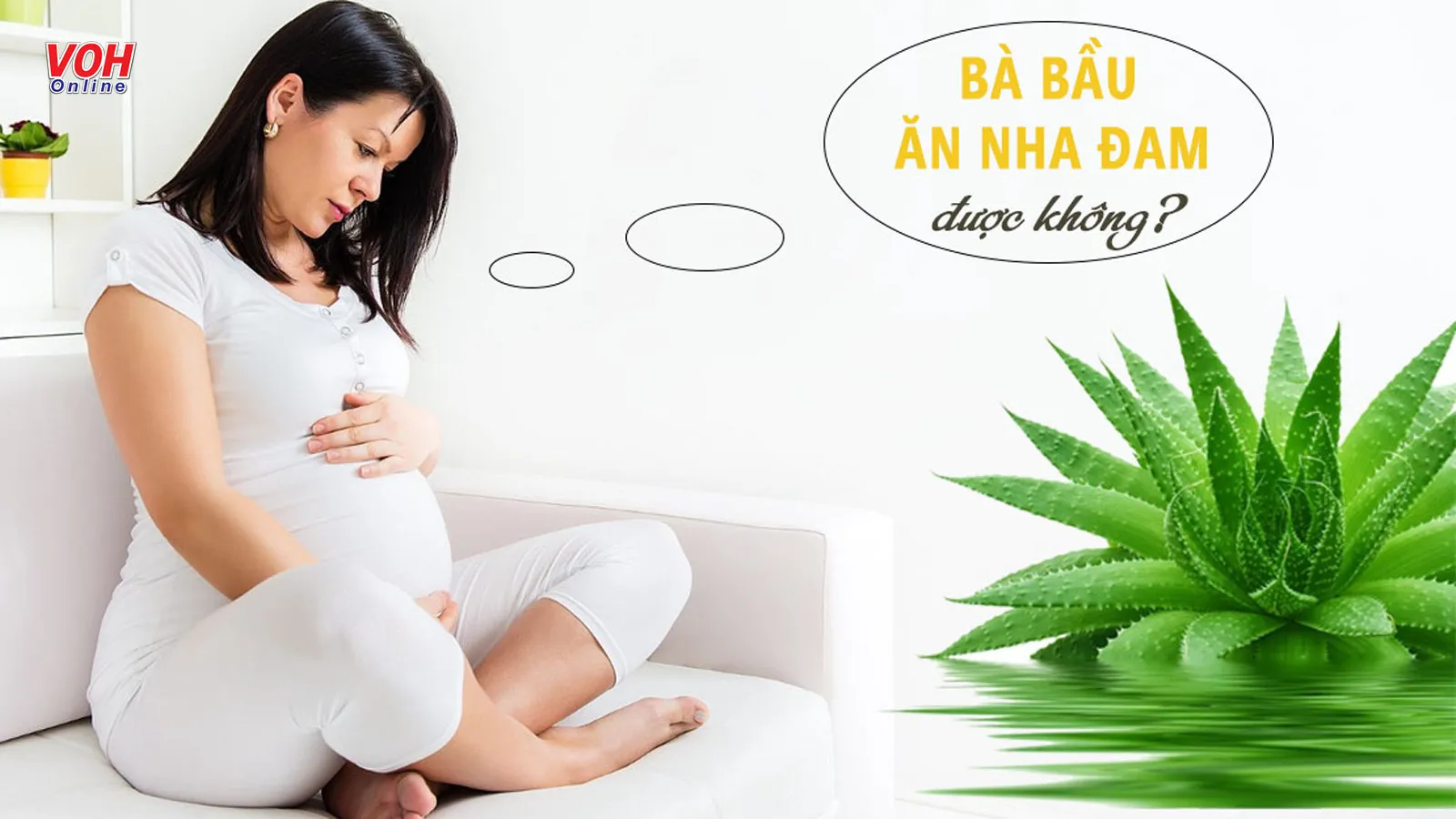 Bà bầu ăn nha đam được không? Đây là lời khuyên mẹ nên biết