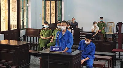 Vụ án tàng trữ trái phép vảy tê tê châu Phi đầu tiên được đem ra xét xử ở Việt Nam