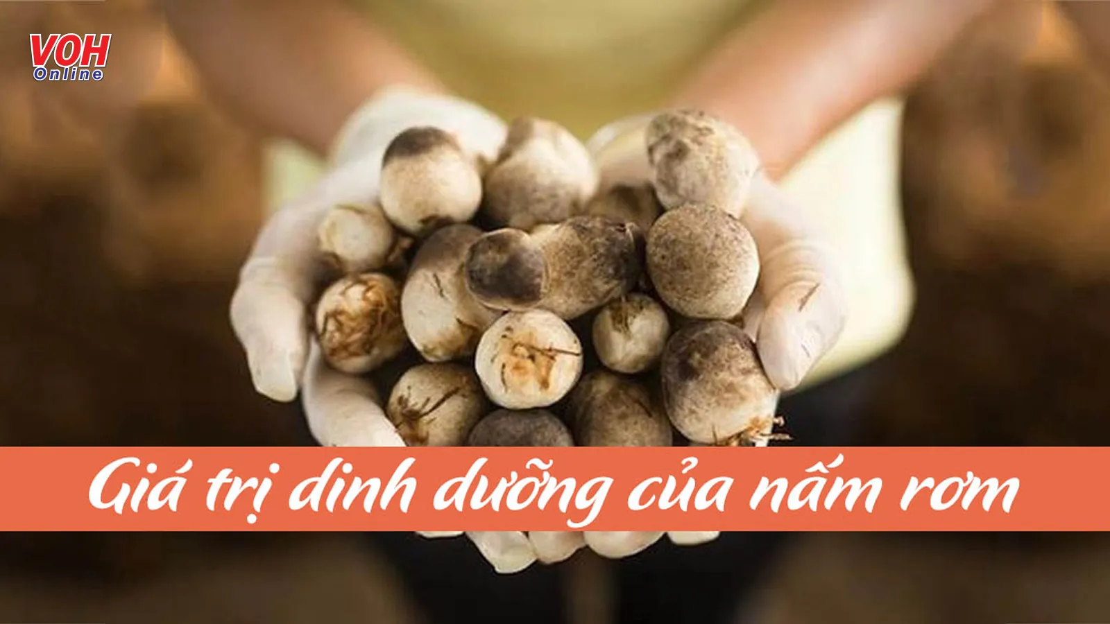 Nấm rơm nấu gì ngon, bổ dưỡng và tốt cho sức khỏe?