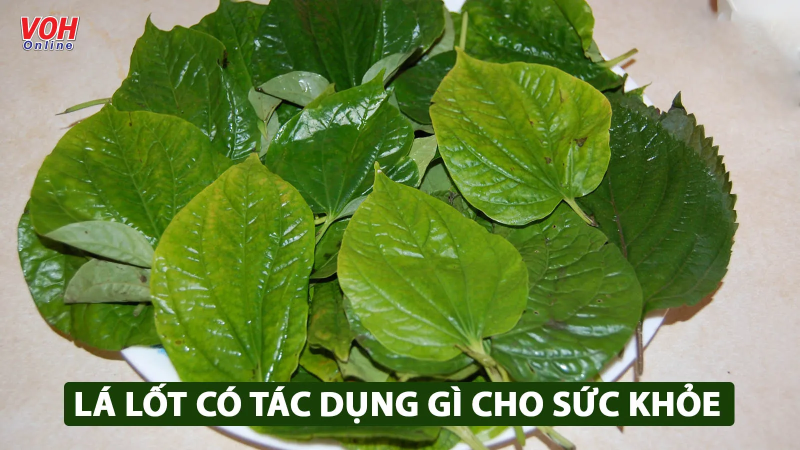 Lá lốt có tác dụng gì trong điều trị bệnh mà nhiều người chưa biết?