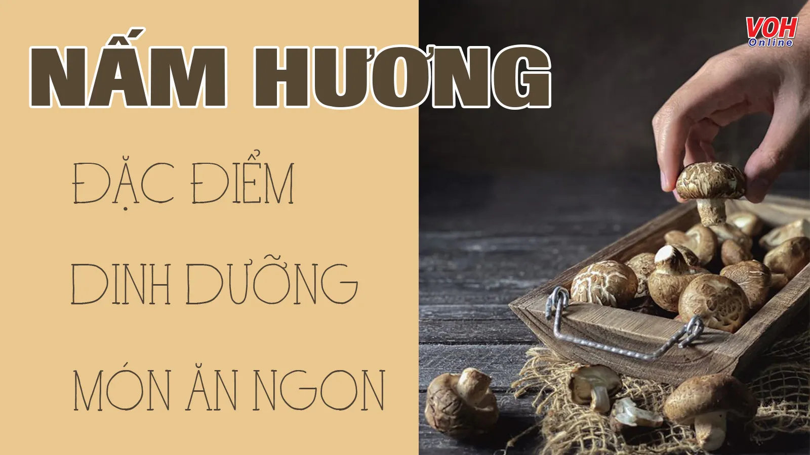 6 tác dụng của nấm hương (nấm đông cô) tốt cho sức khỏe