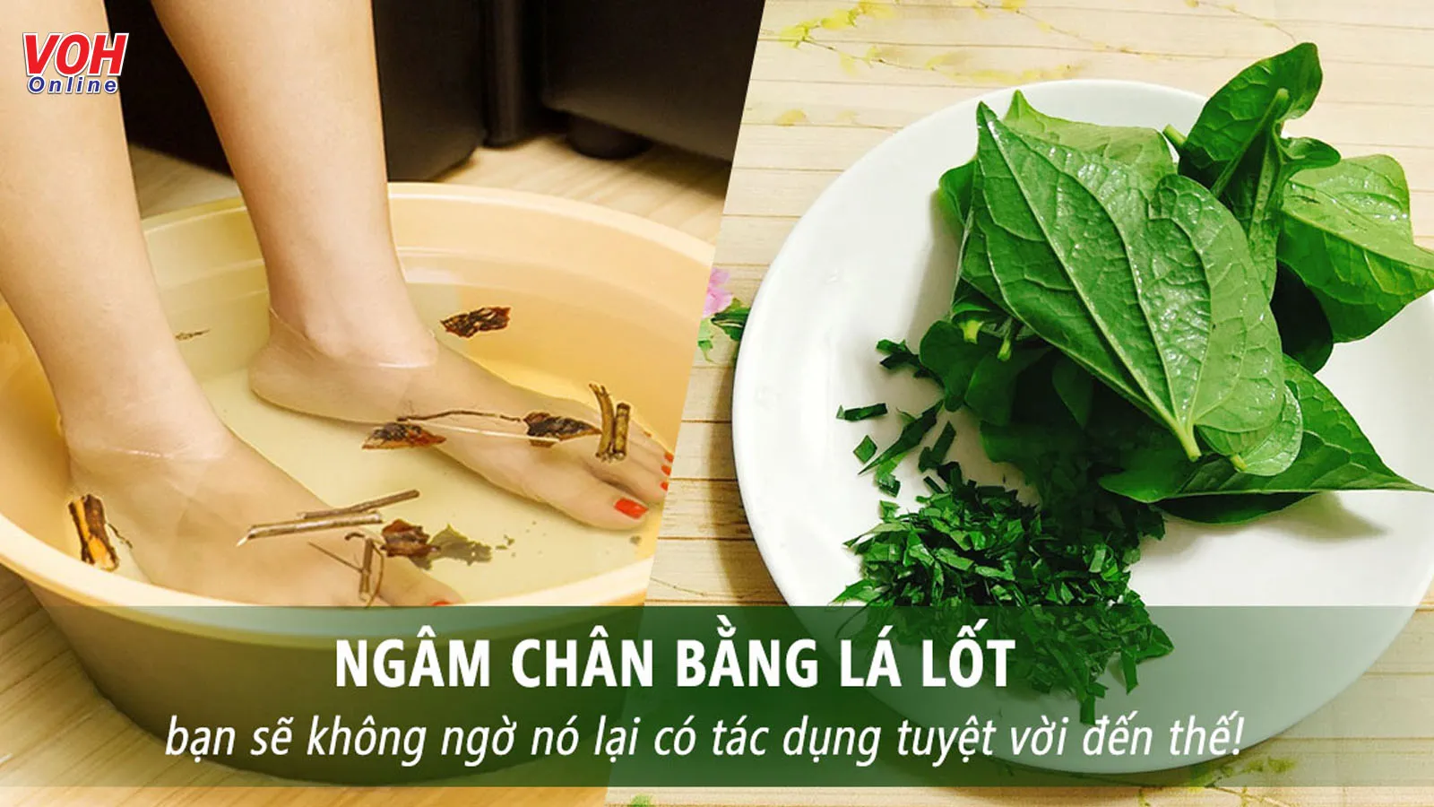 Hướng dẫn ngâm chân bằng lá lốt đúng cách để trị bệnh