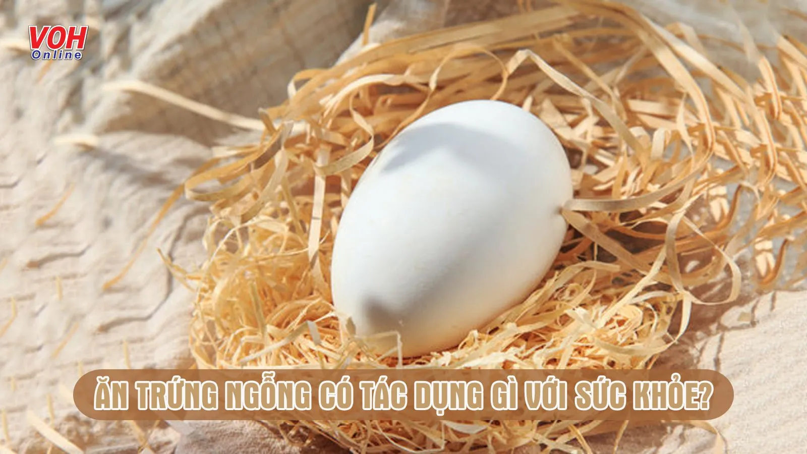 Ăn trứng ngỗng có tác dụng gì cho sức khỏe?