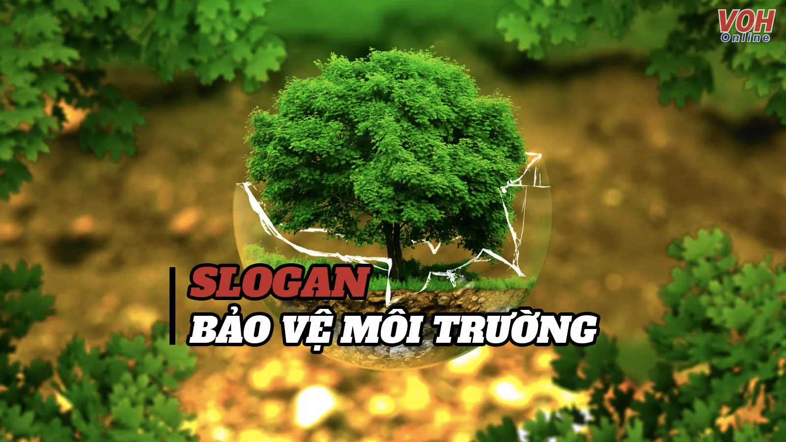 Slogan bảo vệ môi trường – Lời kêu gọi bảo vệ lá phổi xanh của nhân loại