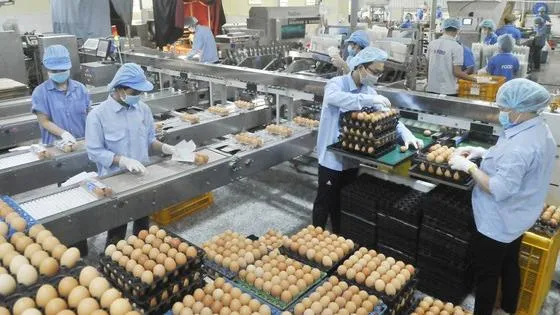 TPHCM tiếp tục thực hiện mục tiêu kép với nỗ lực rất lớn