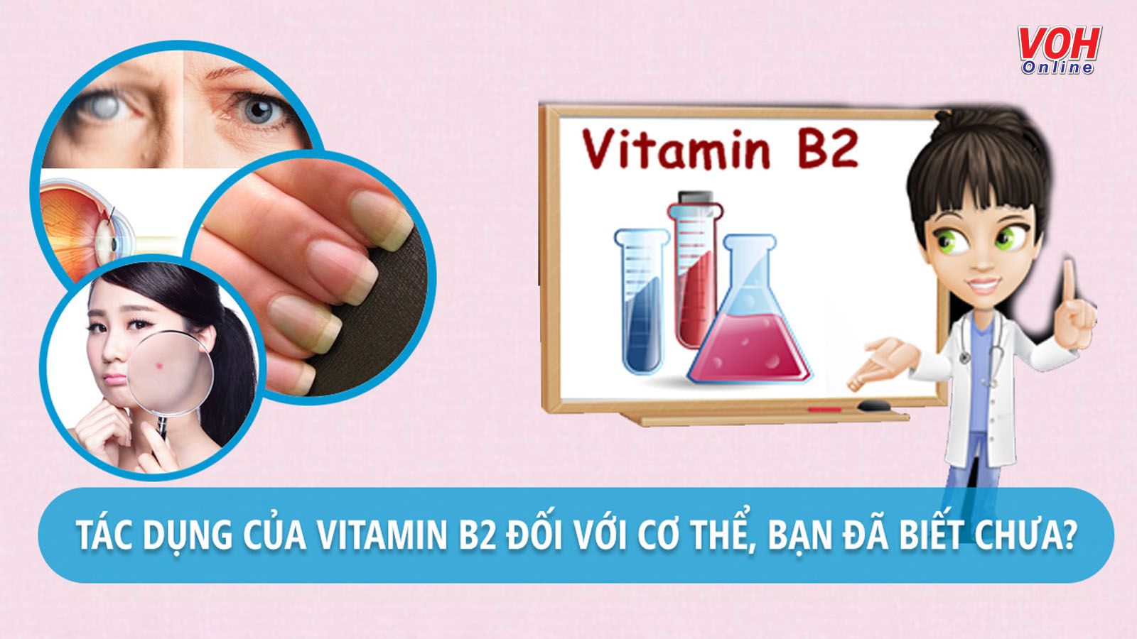 Vitamin B2 có tác dụng gì mà cơ thể cần phải được bổ sung mỗi ngày?