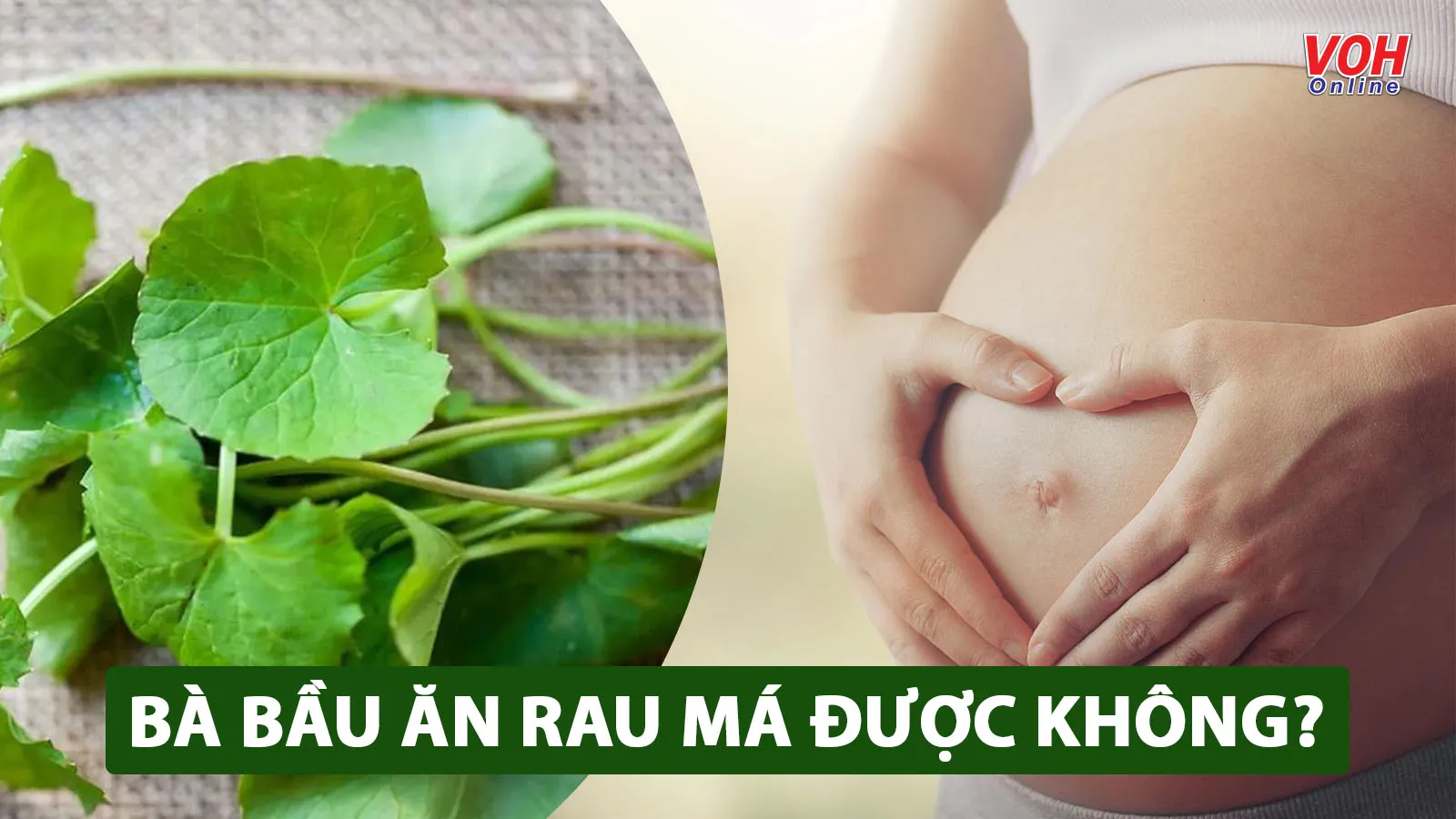 Bà bầu ăn rau má được không? 6 lợi ích có thể bạn chưa biết