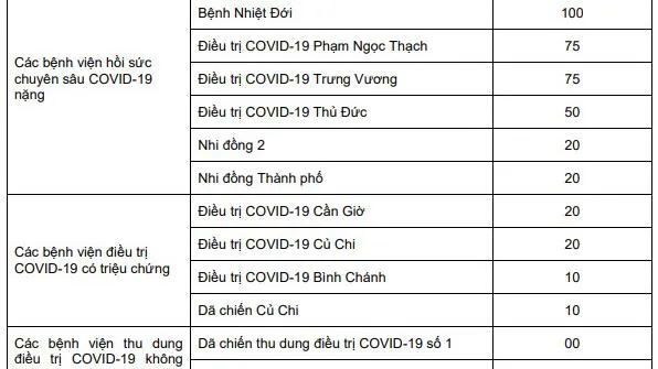 TPHCM: Lên phương án điều trị với kịch bản 500 trường hợp Covid-19 nặng