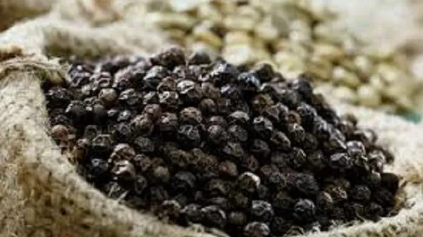 Giá tiêu ngày 7/7: Đồng loạt đứng yên