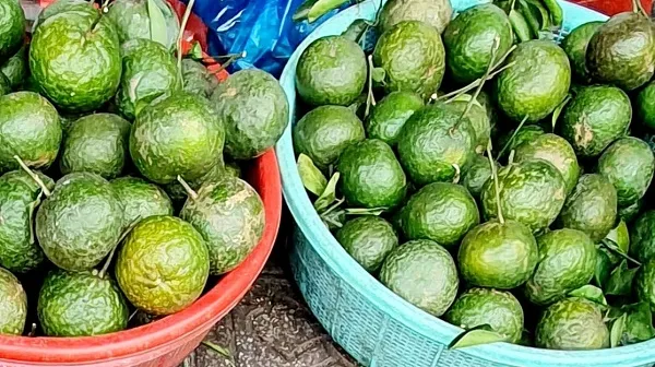 Giá cả thị trường hôm nay 7/7: Cam sành giá từ 22.000 đồng/kg, chợ đầu mối Thủ Đức tạm đóng cửa