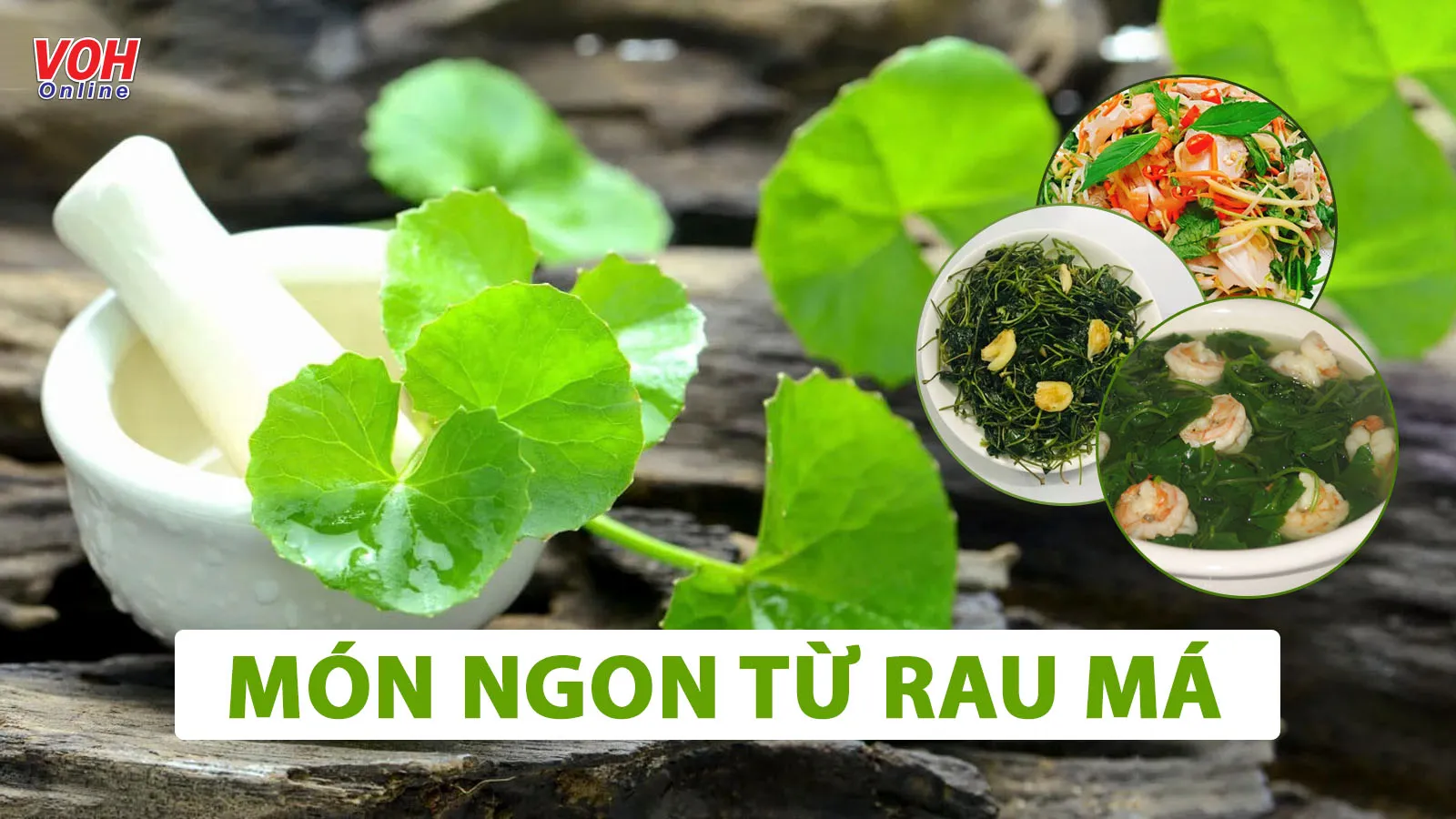 Rau má nấu gì ngon? Học ngay 12 món ăn đơn giản dễ làm