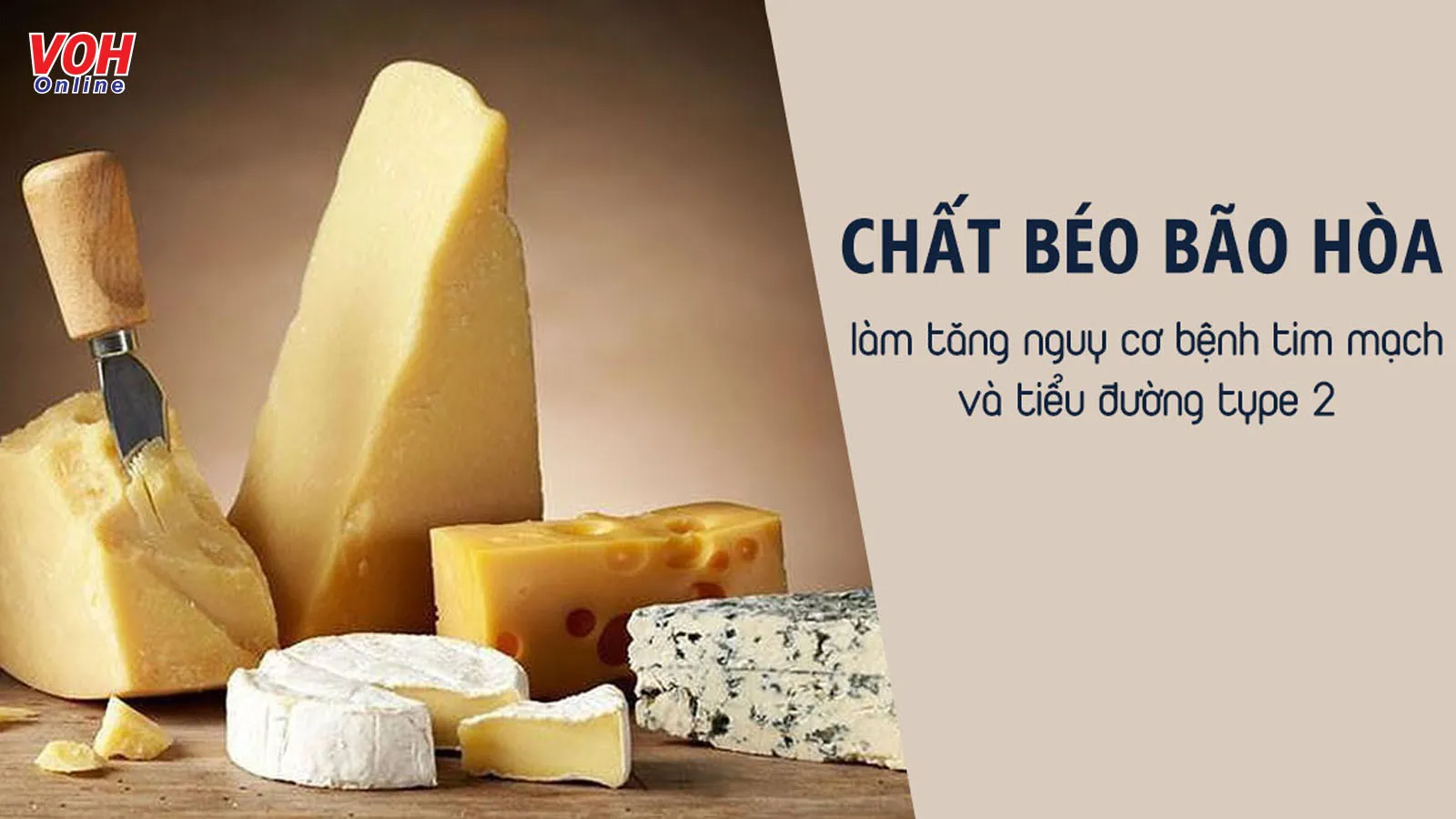 Chất béo bão hòa là gì, tốt hay xấu đối với sức khỏe ?