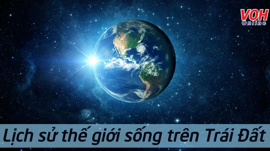 Giới thiệu chung về lịch sử thế giới sống trên trái đất