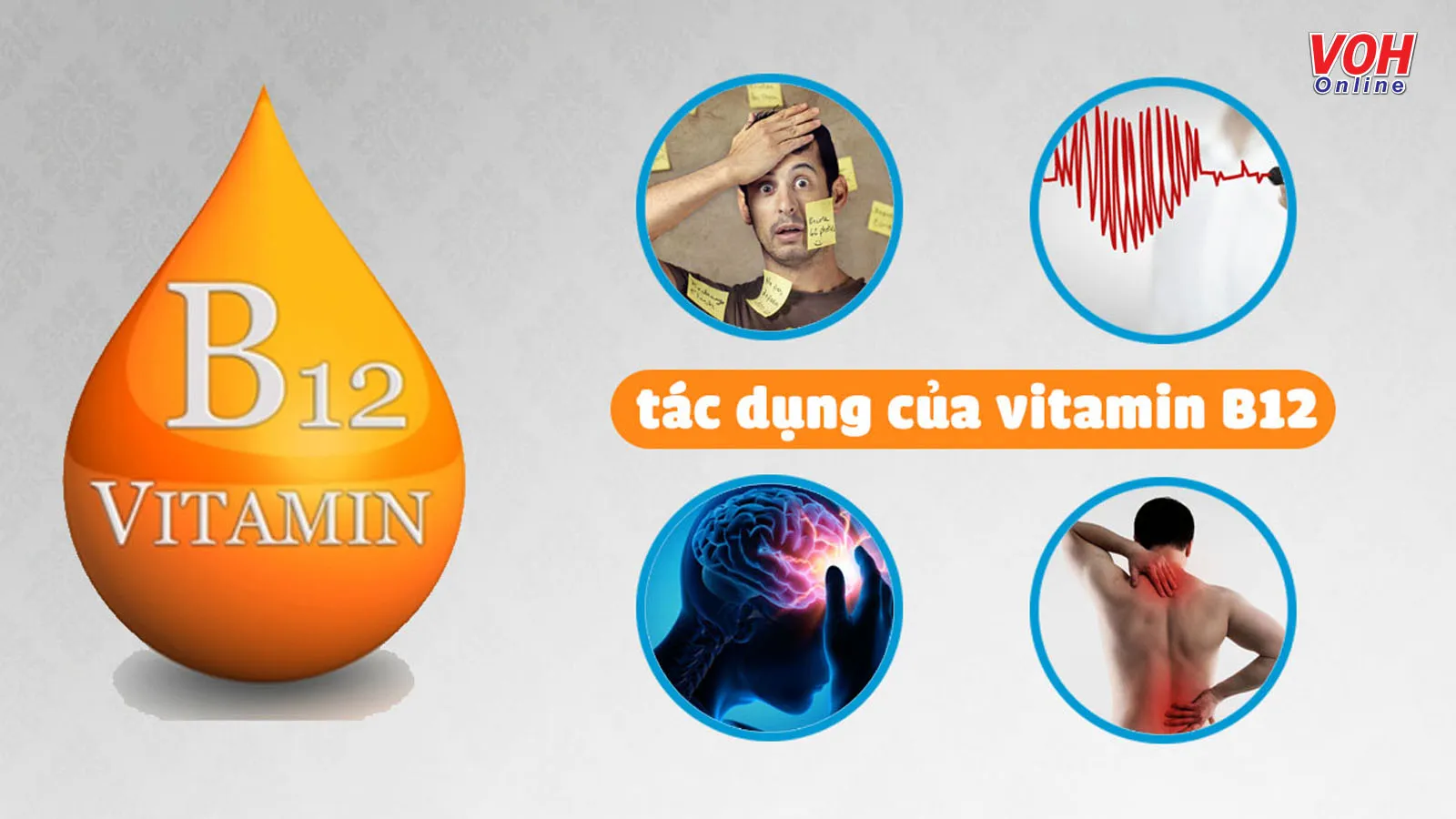 Vitamin B12 có tác dụng gì, có trong thực phẩm nào và liều dùng ra sao?