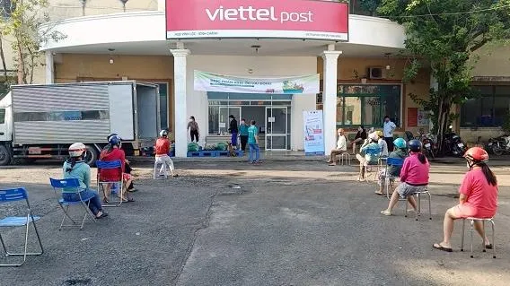 TPHCM tiêu thụ gần 100 tấn rau củ quả trên sàn Thương mại điện tử Vỏ Sò trong 4 ngày