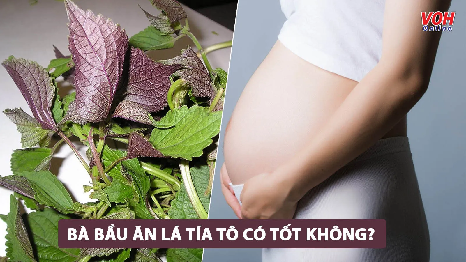 Bà bầu ăn lá tía tô có lợi ích gì?