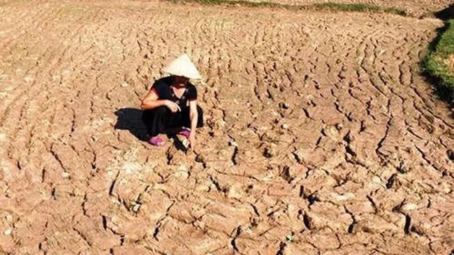 Những ngày tới Nam bộ nhiều mưa vào chiều tối