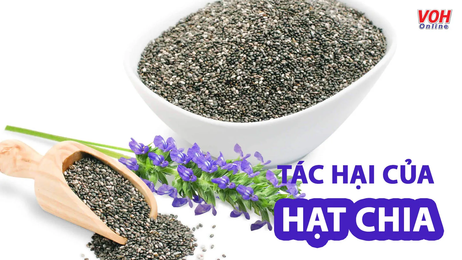 Điểm mặt 5 tác hại của hạt chia khi dùng sai cách