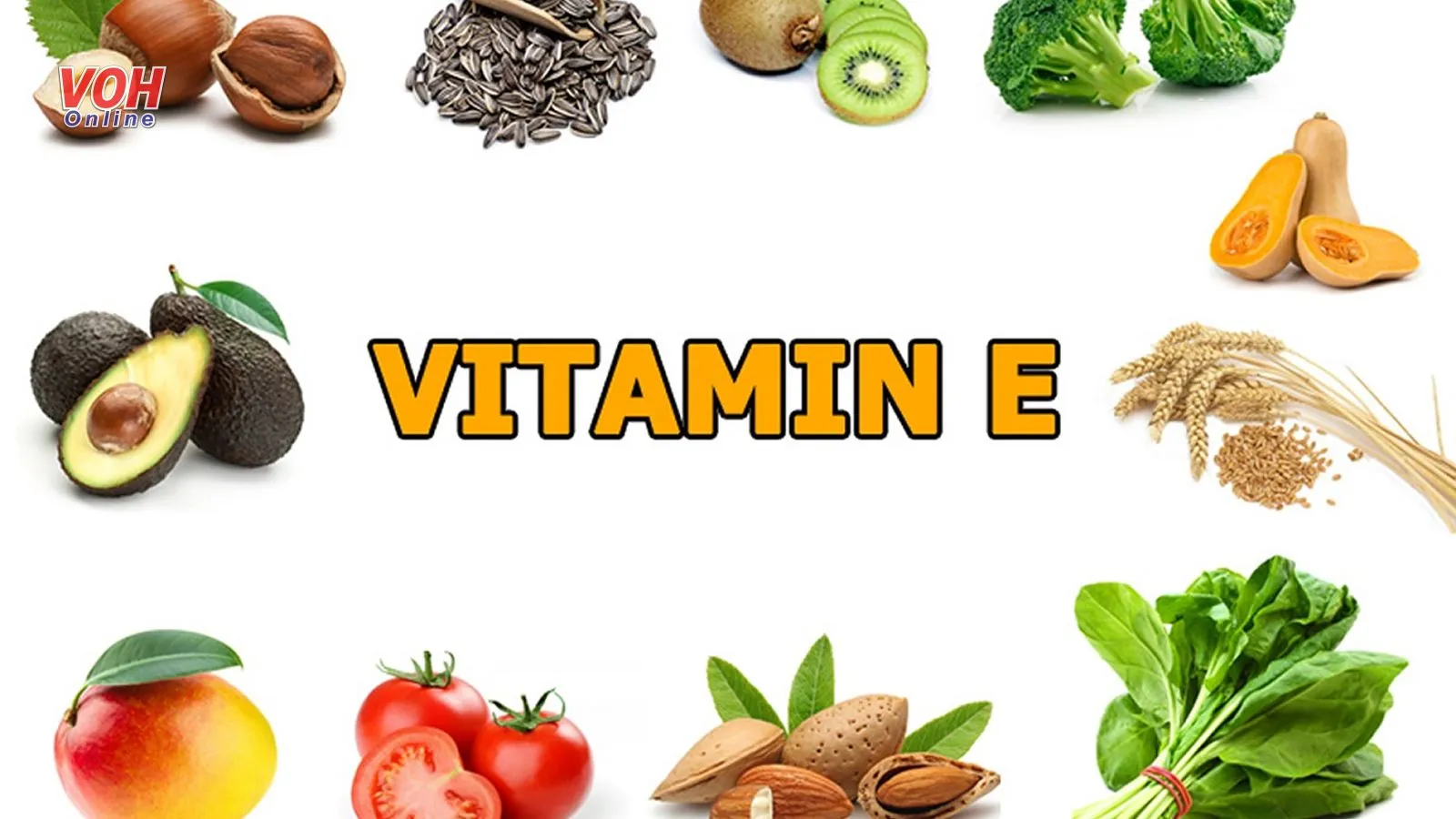 Vitamin E có trong thực phẩm nào, bạn đã biết chưa?