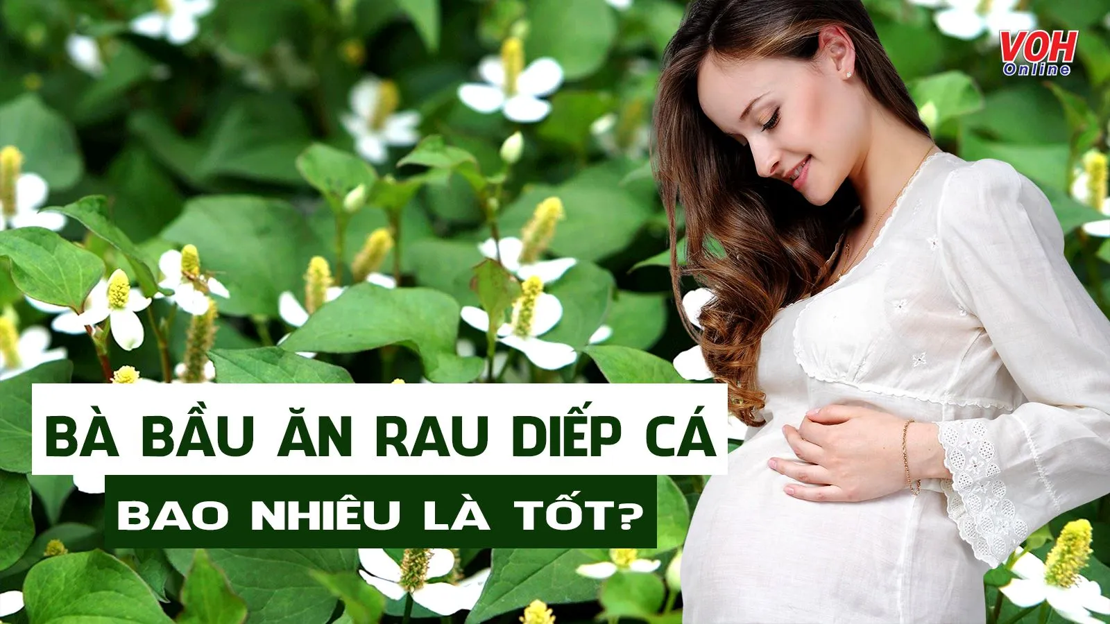 Bà bầu ăn rau diếp cá được không? Ăn bao nhiêu và thế nào tốt?