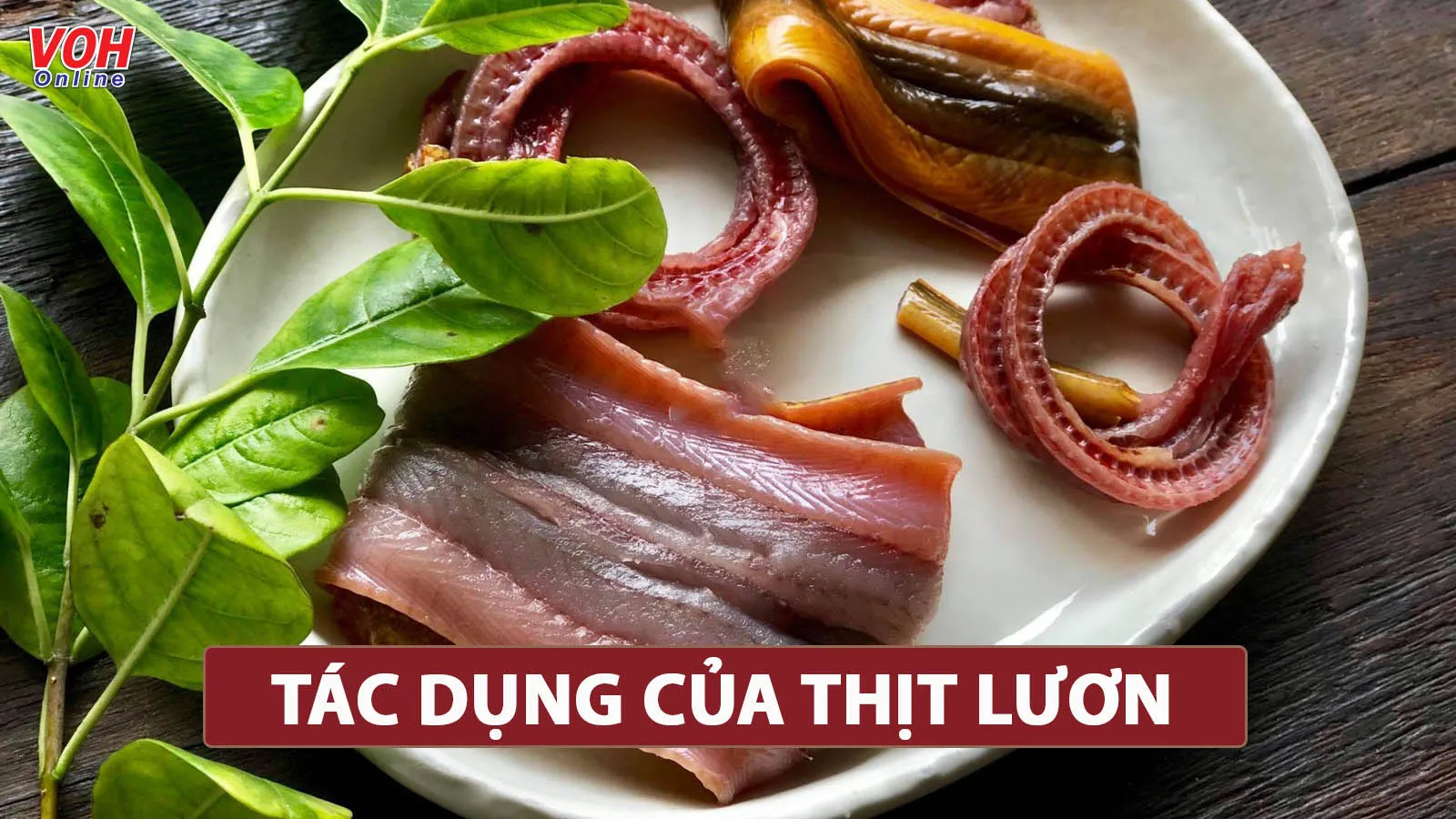 Khám phá những tác dụng của lươn dành cho sức khỏe