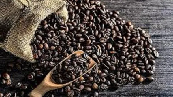 Giá cà phê hôm nay 18/8: Quay đầu giảm theo giá thế giới