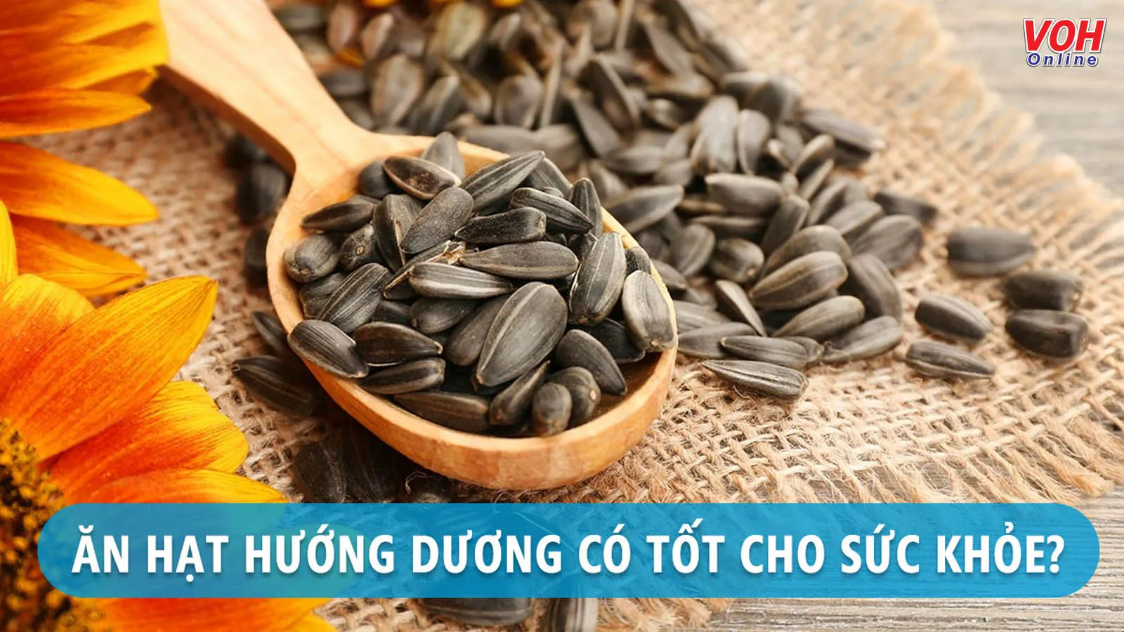 Tìm hiểu tác dụng của hạt hướng dương và những lưu ý khi ăn