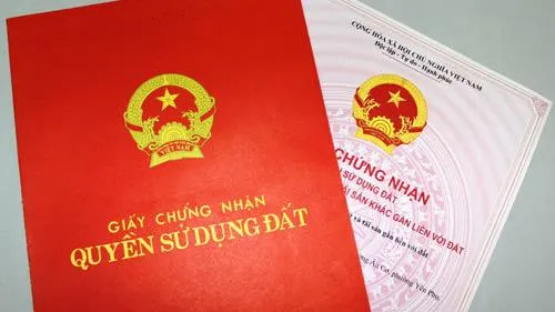 Những chính sách mới về kinh tế có hiệu lực từ tháng 9/2021