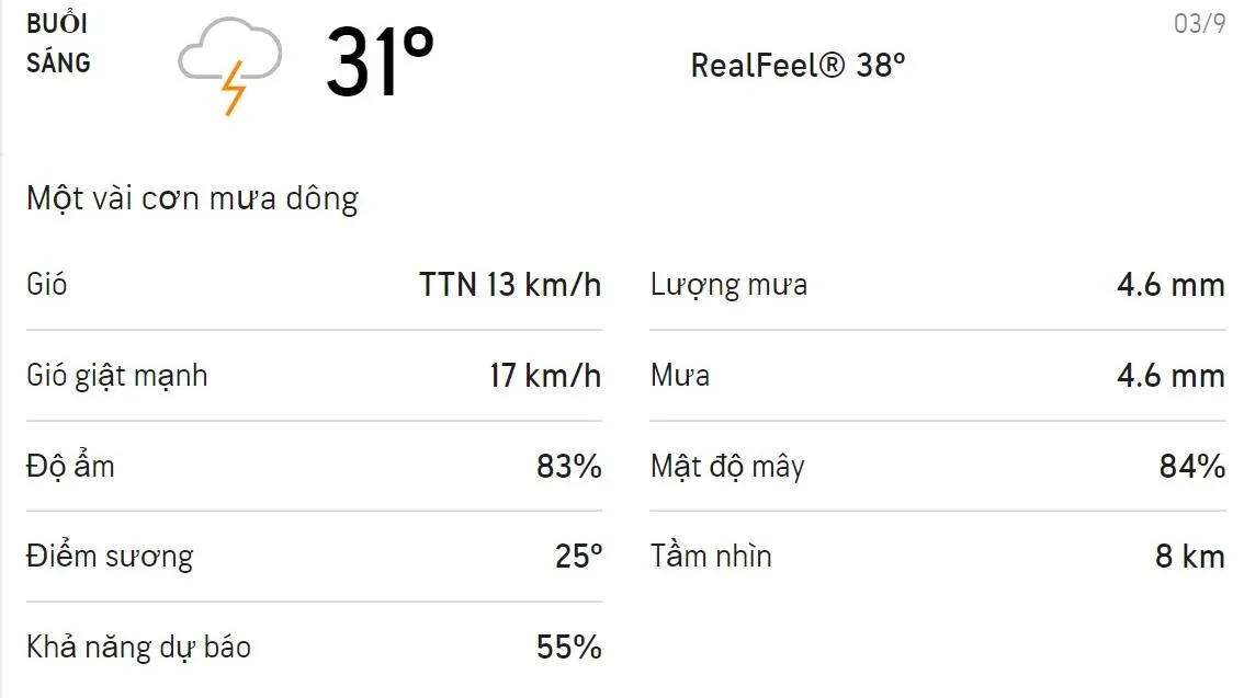 Dự báo thời tiết TPHCM hôm nay 03/9 và ngày mai 04/9: Cả ngày có mưa dông rải rác