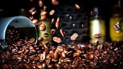 Giá cà phê hôm nay 4/9: Giá Robusta tăng nhẹ, trong nước trầm lắng