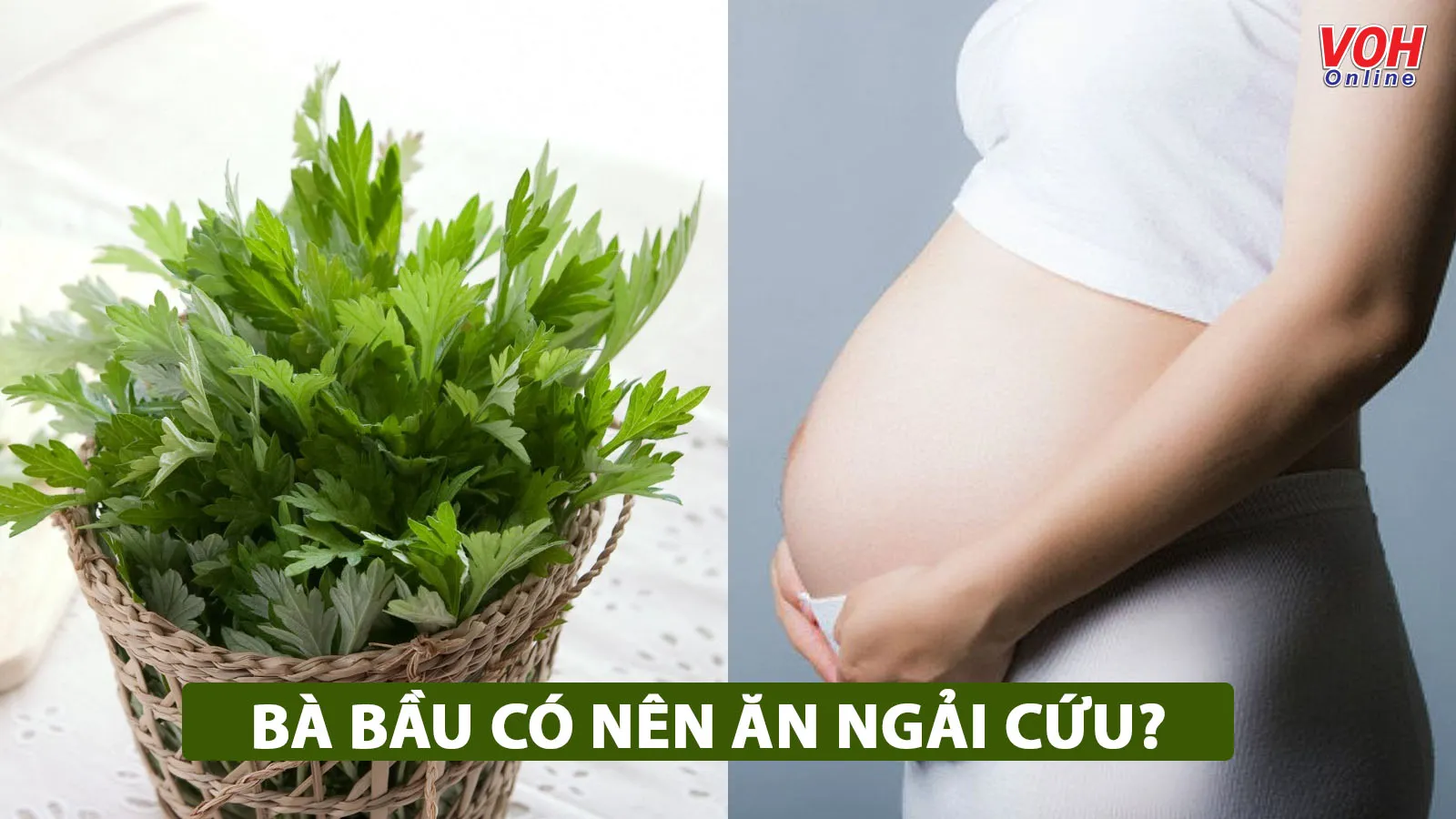 Bà bầu ăn ngải cứu vì sao lại không tốt cho thai kỳ?