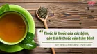 14 tác dụng của trà xanh giúp bạn tươi, trẻ, khỏe, đẹp