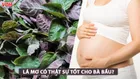 Bà bầu ăn lá mơ được không và ăn thế nào là tốt?