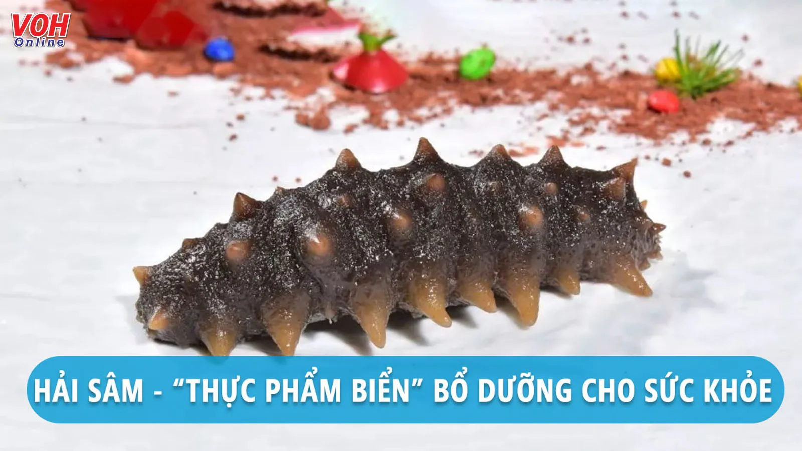 Tác dụng của hải sâm tốt như thế nào?