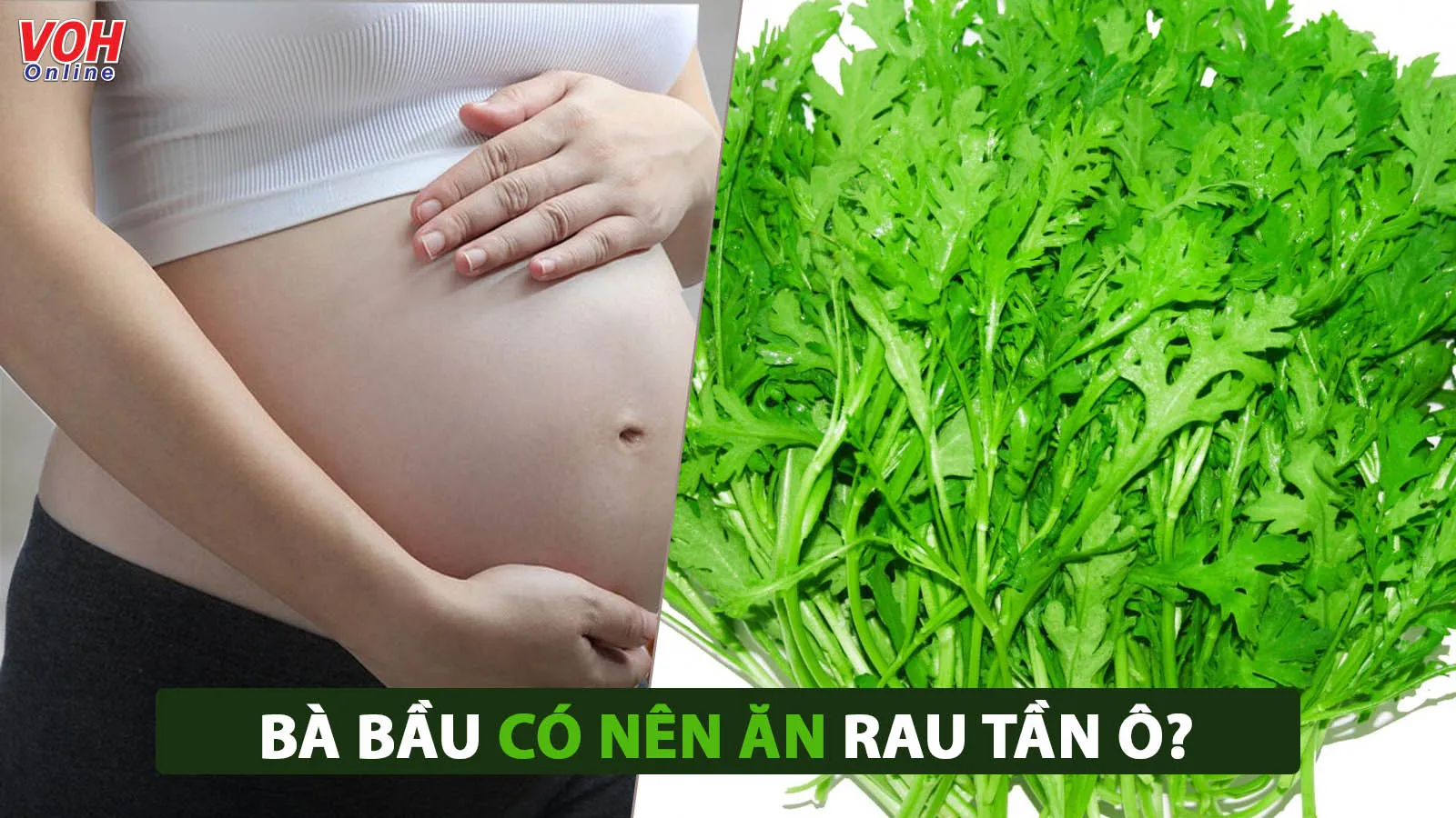 Bà bầu ăn rau tần ô được không? Đây là những gì mẹ cần biết