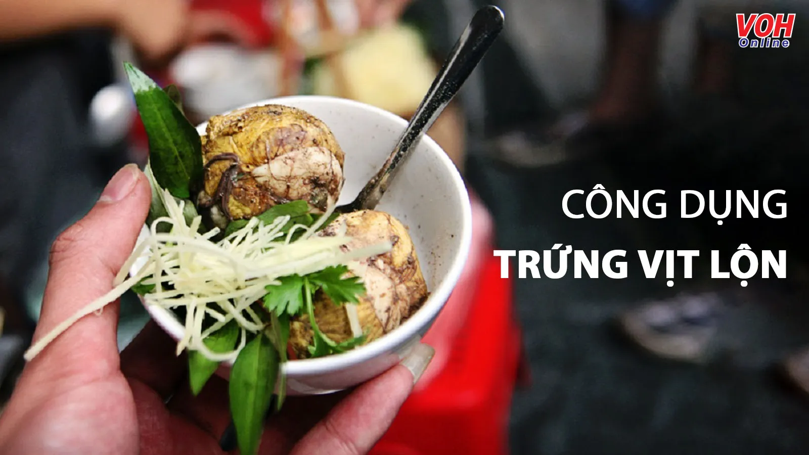 Ăn trứng vịt lộn có tác dụng gì tốt cho sức khỏe?