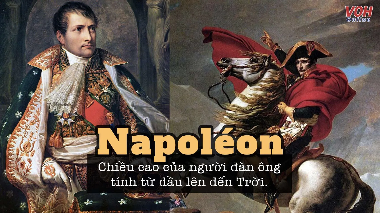 Những câu nói hay để đời của Napoleon Bonaparte