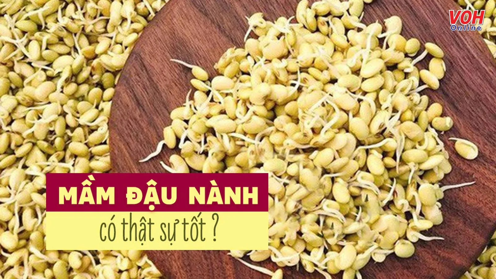 Mầm đậu nành có tác dụng gì với sức khỏe và sắc đẹp?