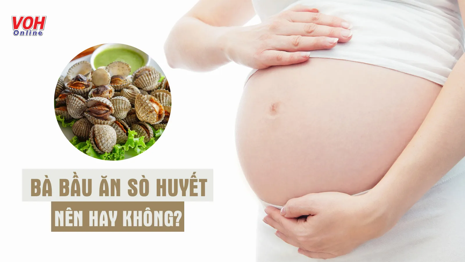 ‘Đẩy lùi’ nỗi lo bà bầu ăn sò huyết được không với 5 lý giải này